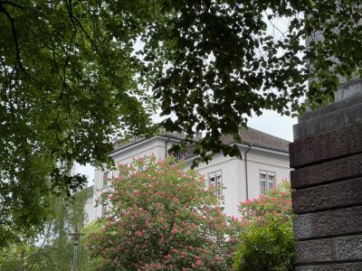IMG_1500_Schule-Scherr-3